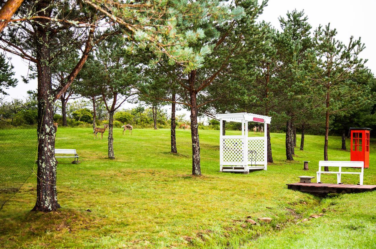 Wheelhouse Motel Lunenburg Exterior foto